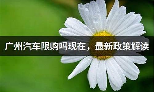 广州汽车限迁政策_广州汽车限购政策最新消