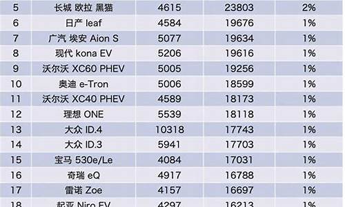 新能源汽车排行榜前十名2024_新能源汽车排行榜前十名202