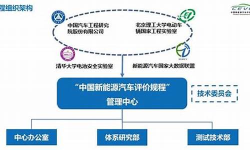 新能源车评价高的车_新能源汽车评价最好