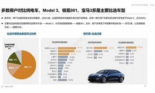 特斯拉消费者分析论文_特斯拉消费者分析