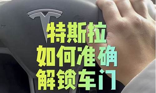 特斯拉车门拉门释放装置_特斯拉汽车门往上拉的车是哪个型号