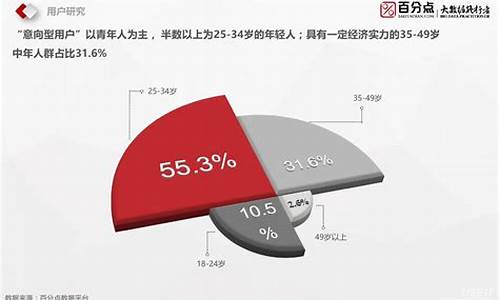 特斯拉的用户画像模式_特斯拉的用户画像