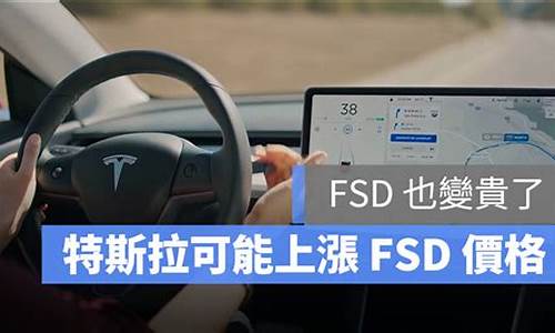 特斯拉fsd功能怎么开启的_特斯拉fsd功能怎么开启